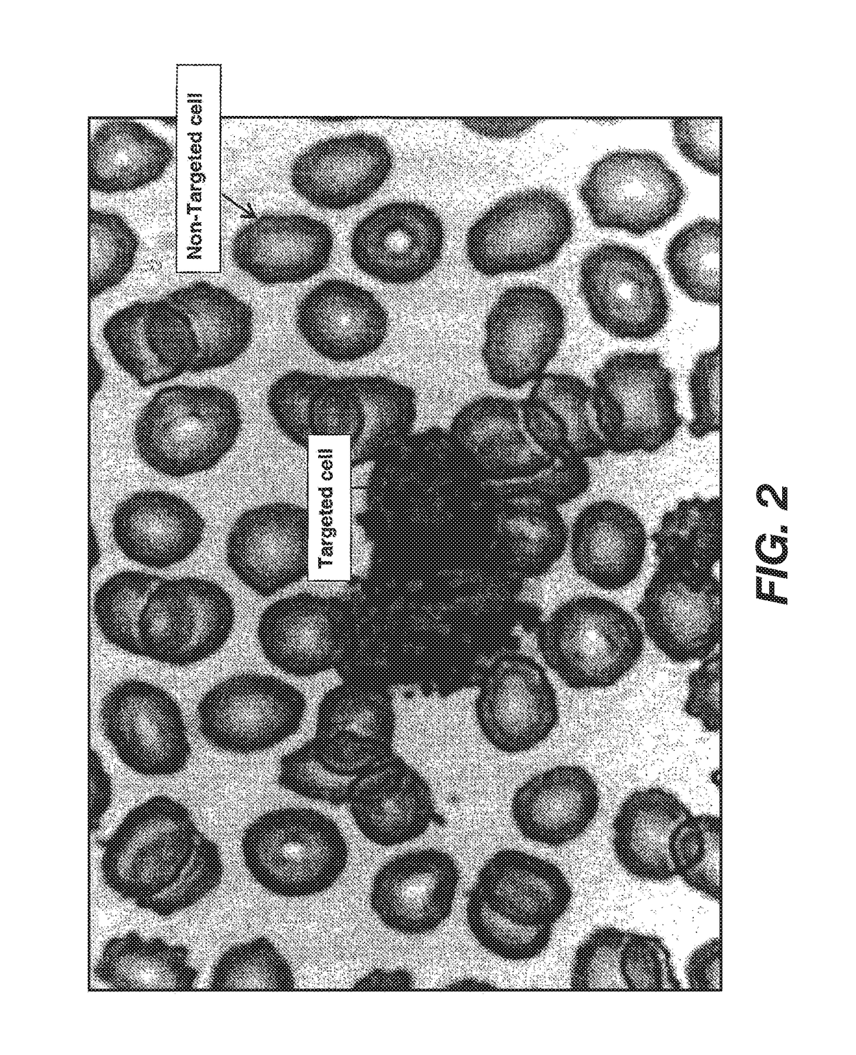 Methods and reagents for improved selection of biological materials