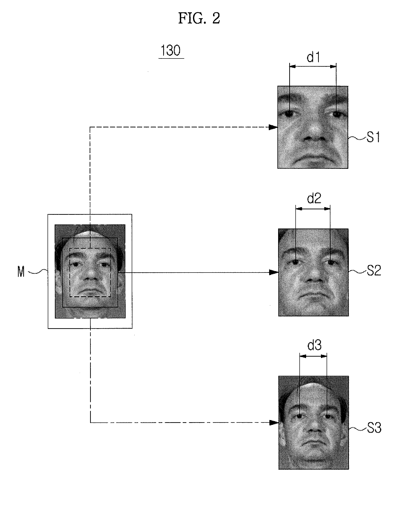 Face recognition apparatus and method