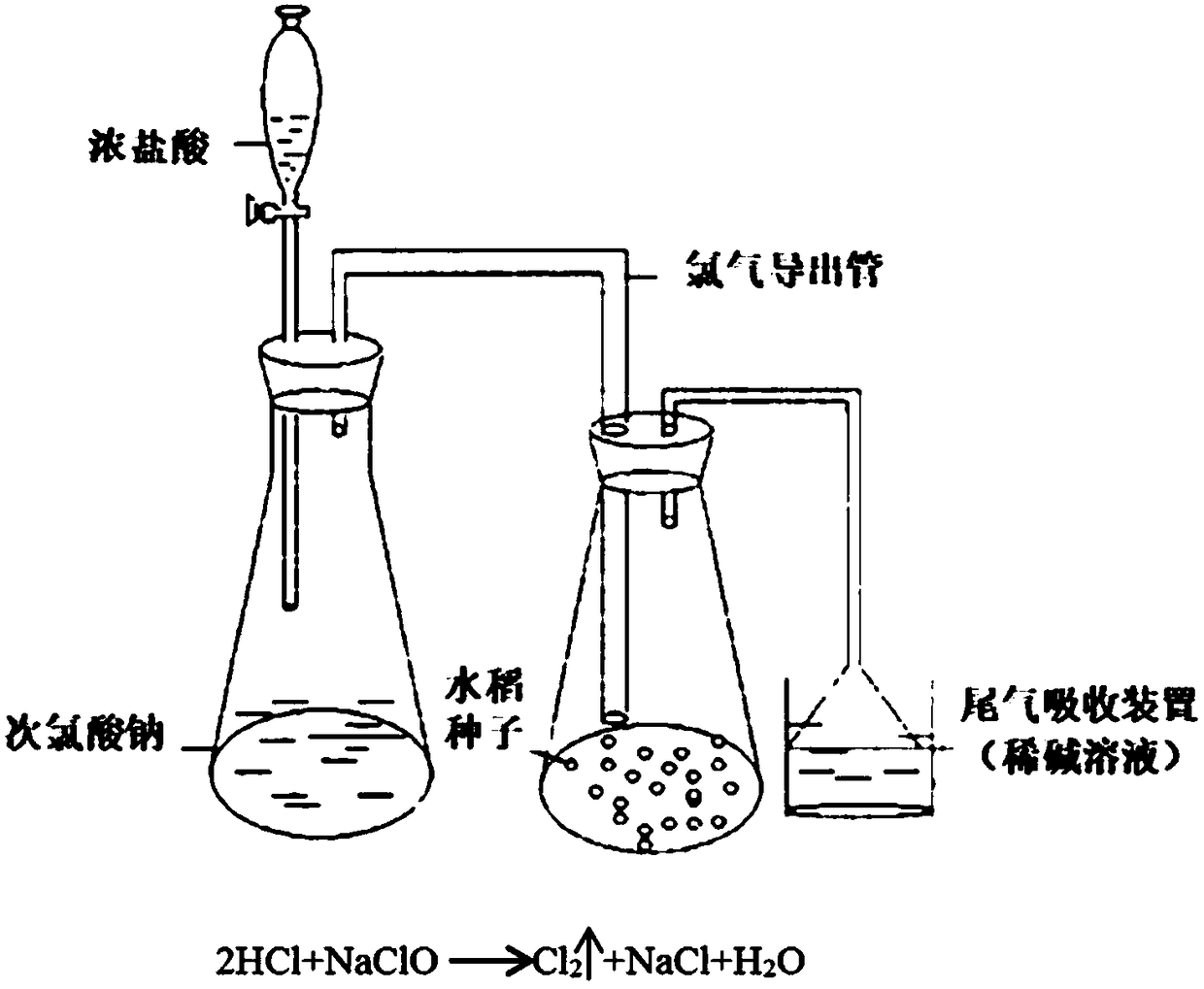 Method for disinfecting rice seeds