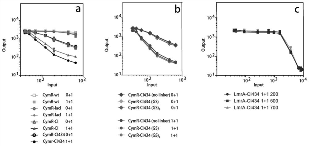 Repressor protein, regulatory element group, gene expression regulation system and construction method thereof