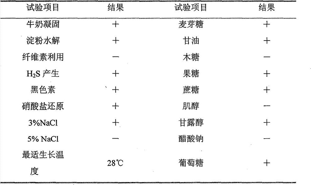 Method for extracting streptomyces antibacterial product