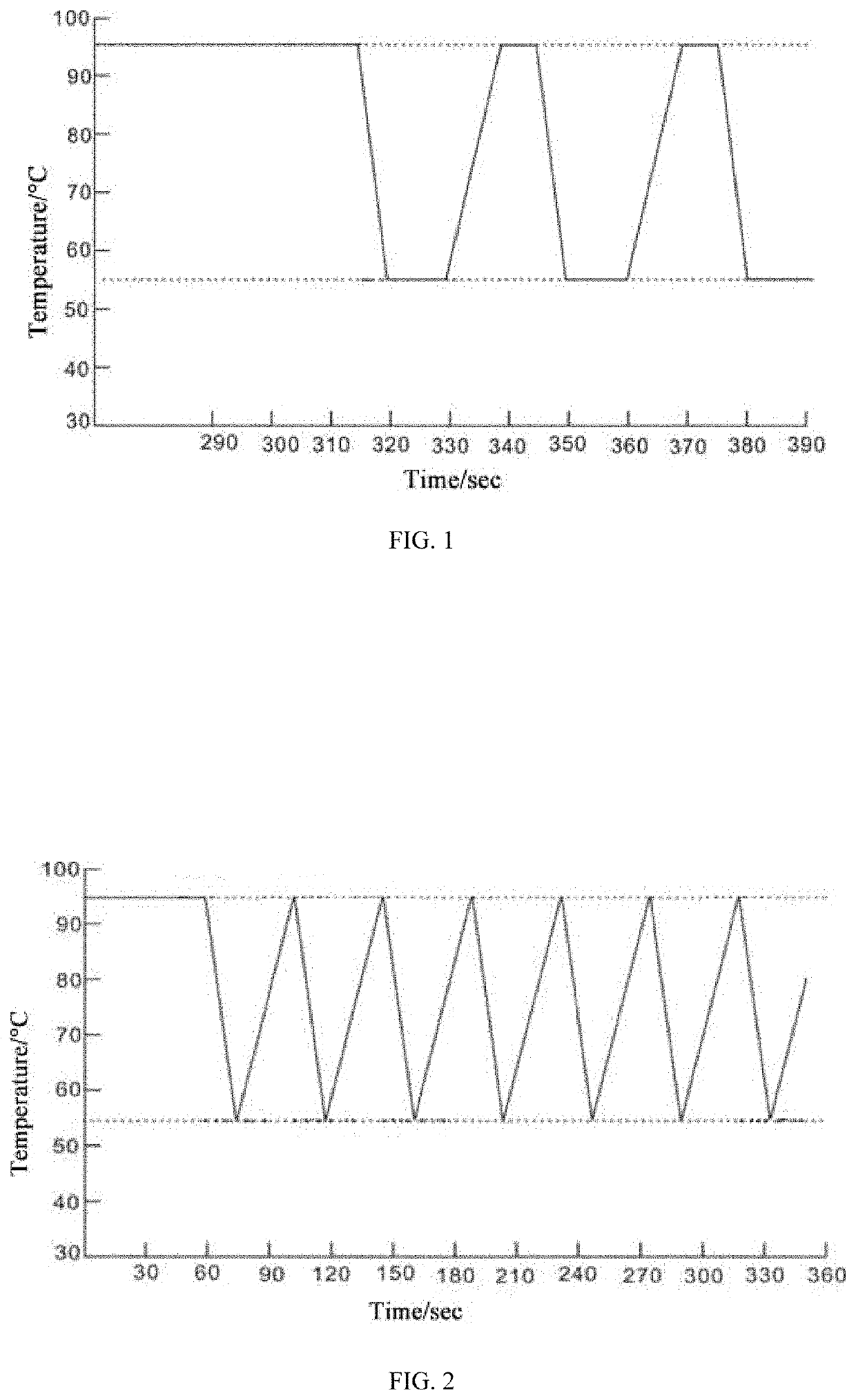 Rapid amplification methods fornucleic acid of hepatitis b virus