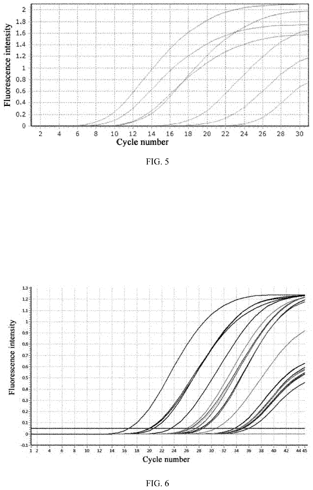 Rapid amplification methods fornucleic acid of hepatitis b virus