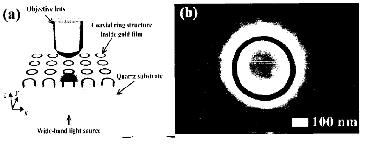 Surface plasma nanometer ring light filter