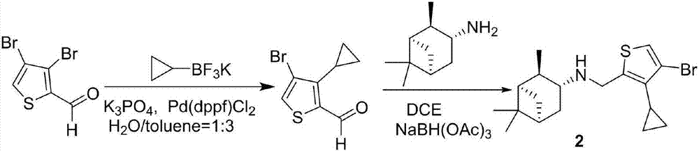 Cyclopropyl substituted thiophene naphthene amine type compound and application thereof