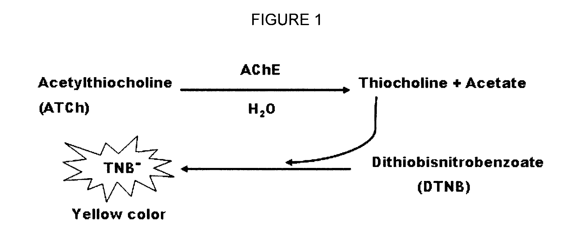 Biosensors utilizing ink jet-printed biomolecule compatible sol gel inks and uses thereof