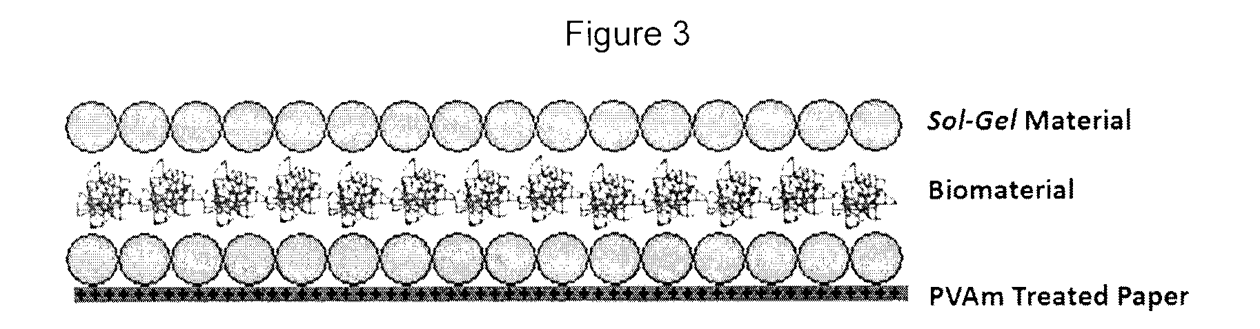 Biosensors utilizing ink jet-printed biomolecule compatible sol gel inks and uses thereof