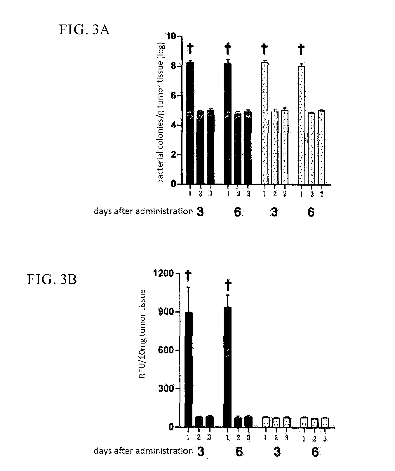 Method of anaerobic tissue-targeted gene expression initiated by alcohol dehydrogenase promoter and the application thereof
