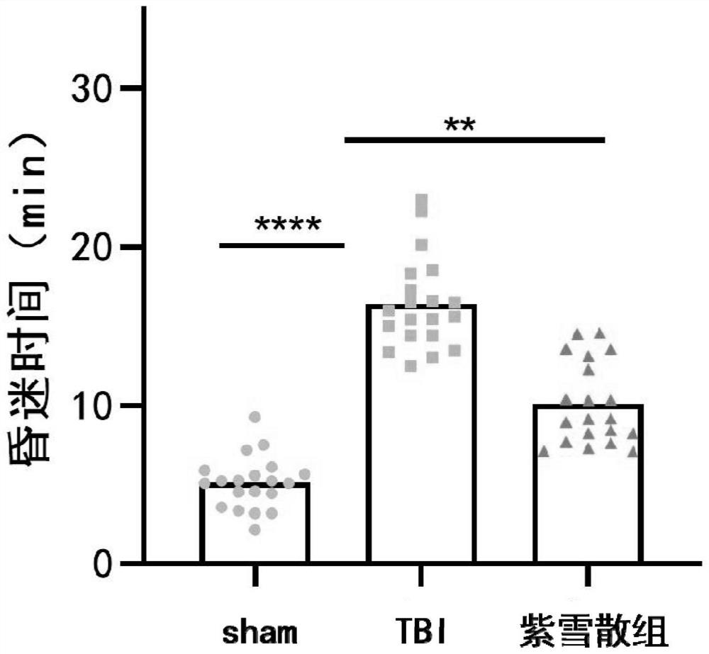 Application of Zixue prescription in preparation of consciousness promoted medicine for severe traumatic brain injury