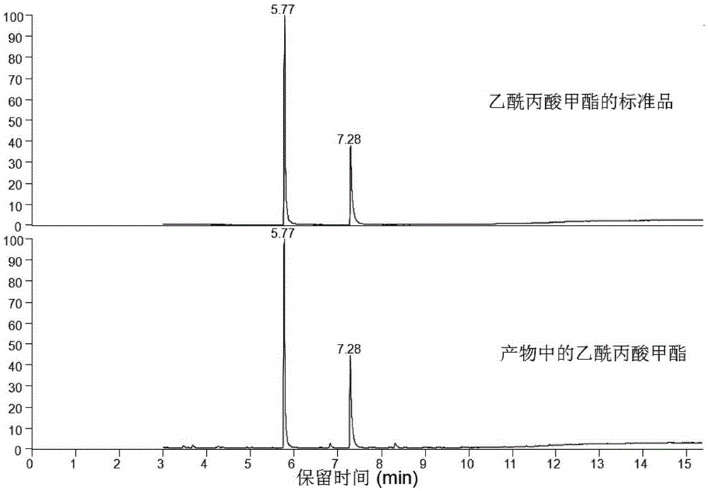 Method for preparing methyl levulinate from acidified montmorillonite catalyzed biomass sugar