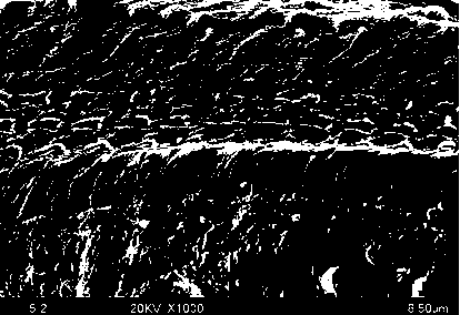 Application of a pharmaceutical composition for preparing deafness