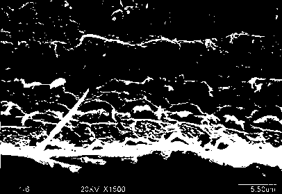 Application of a pharmaceutical composition for preparing deafness