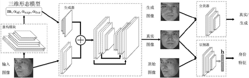 Large-amplitude face straightening method by means of adversarial network and three-dimensional morphological model