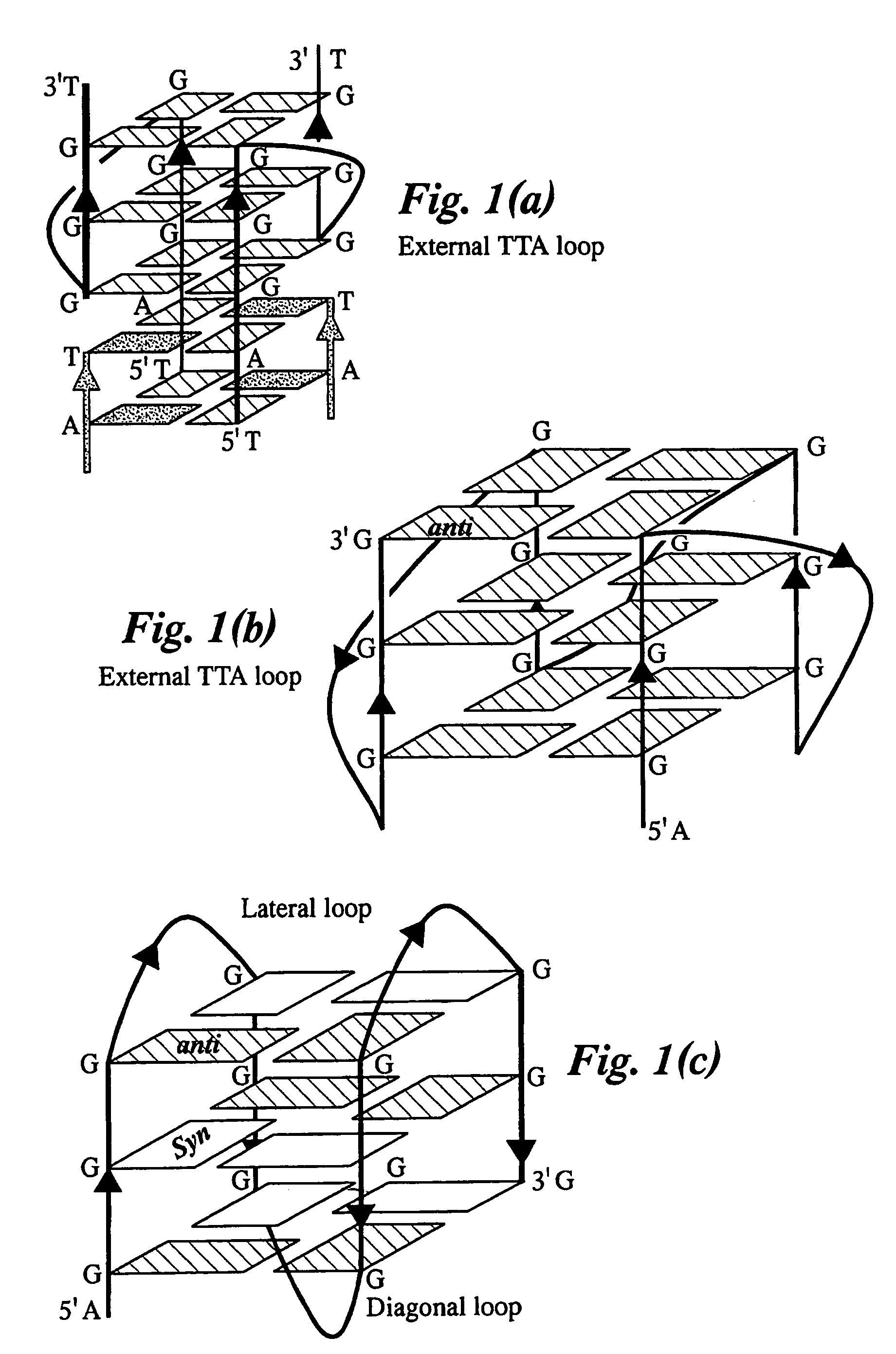 Crystal structure of G-quadruplex containing a potassium ion