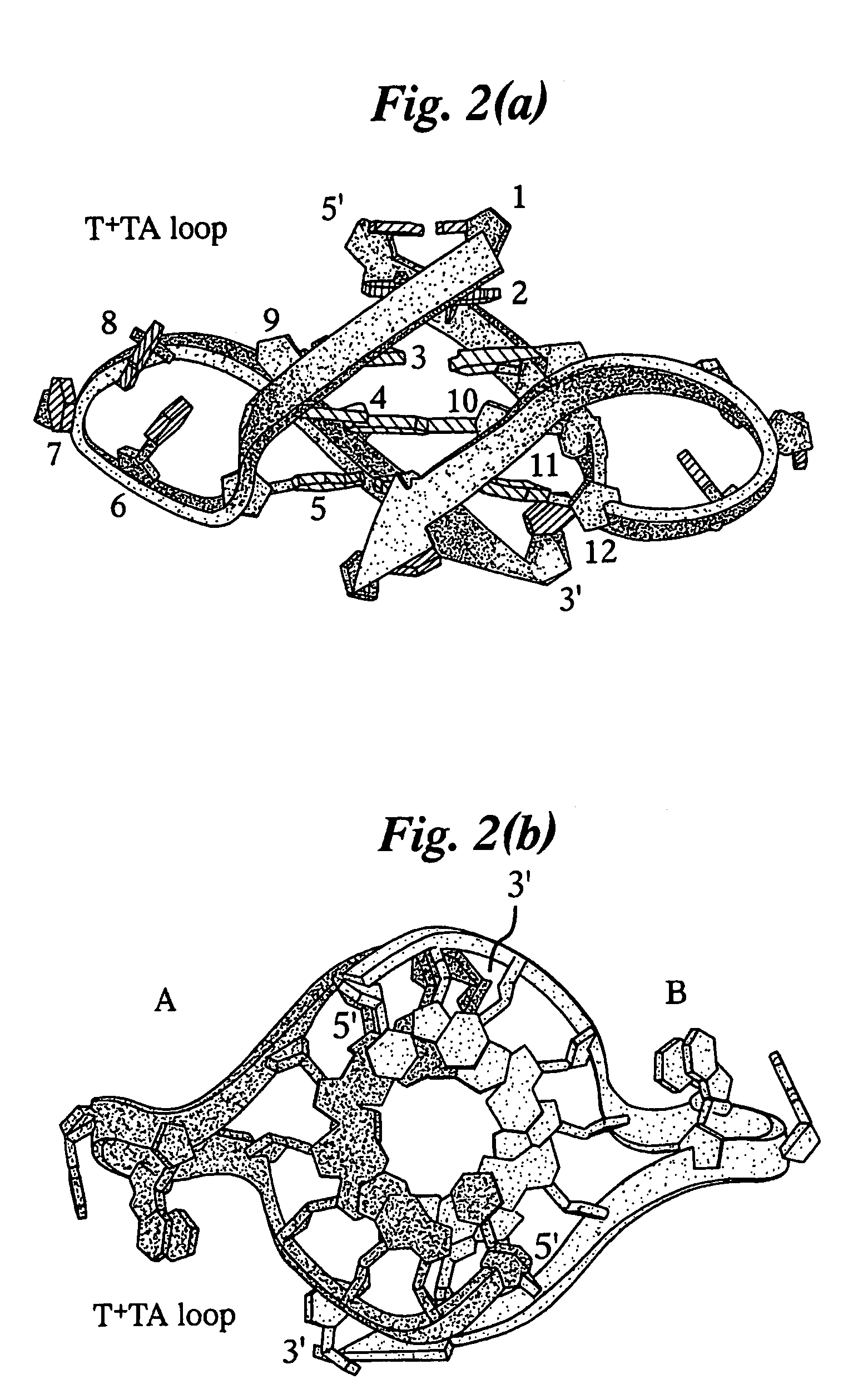 Crystal structure of G-quadruplex containing a potassium ion