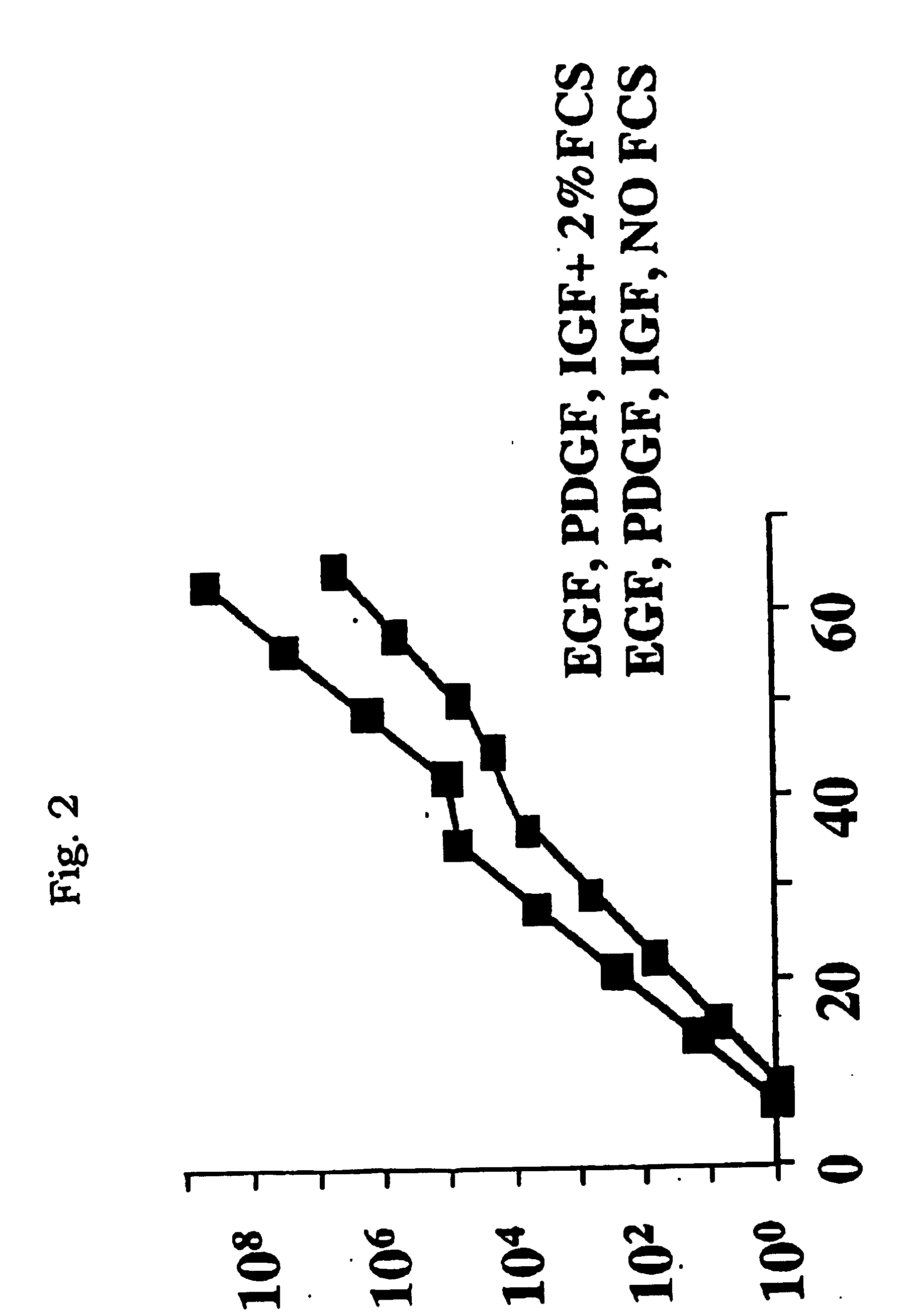 Multipotent adult stem cells and methods for isolation