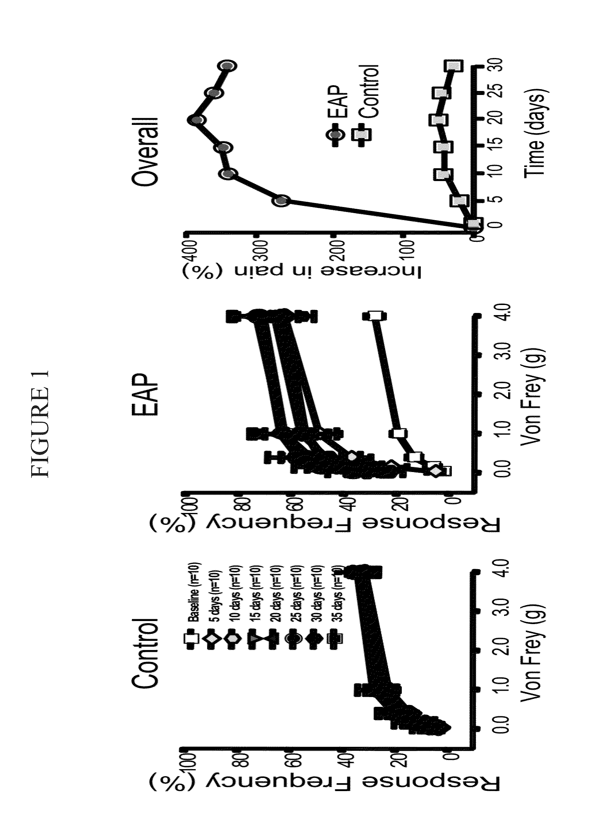 Mast cell markers and prevention, diagnosis, and therapy for chronic pelvic pain syndrome