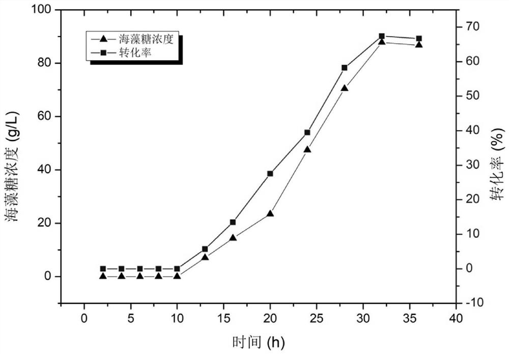 A method for the production of trehalose by coupled fermentation of a dual-enzyme fusion enzyme with high-efficiency secreted expression