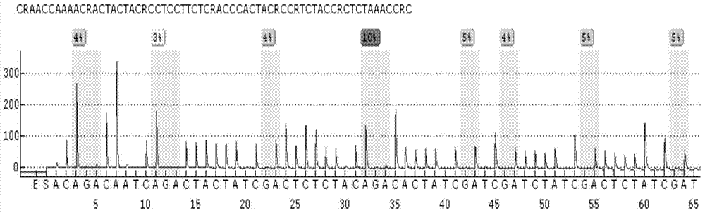 Kit for detecting methylation degree of ptpn1 gene promoter region related to type 2 diabetes and application thereof