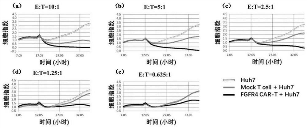 FGFR4-targeting single-chain antibody, chimeric antigen receptor and chimeric antigen receptor T cell, preparation method of chimeric antigen receptor T cell, and application of FGFR4-targeting single-chain antibody, chimeric antigen receptor and chimeric antigen receptor T cell