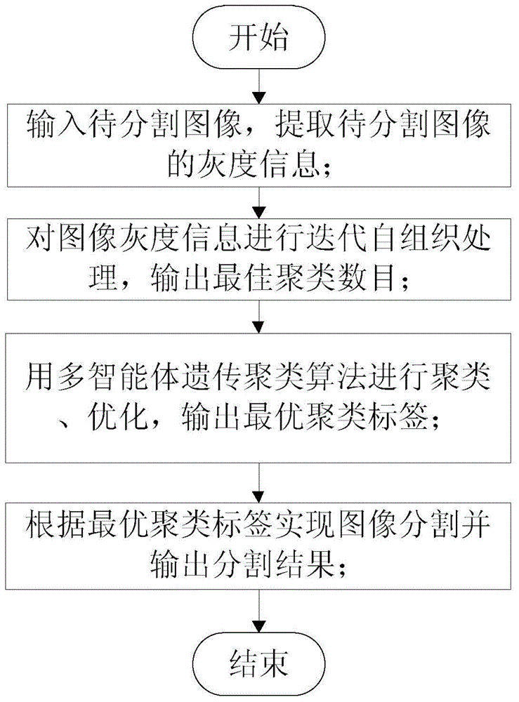 Image segmentation method based on iterative self-organization and multi-agent genetic clustering algorithm