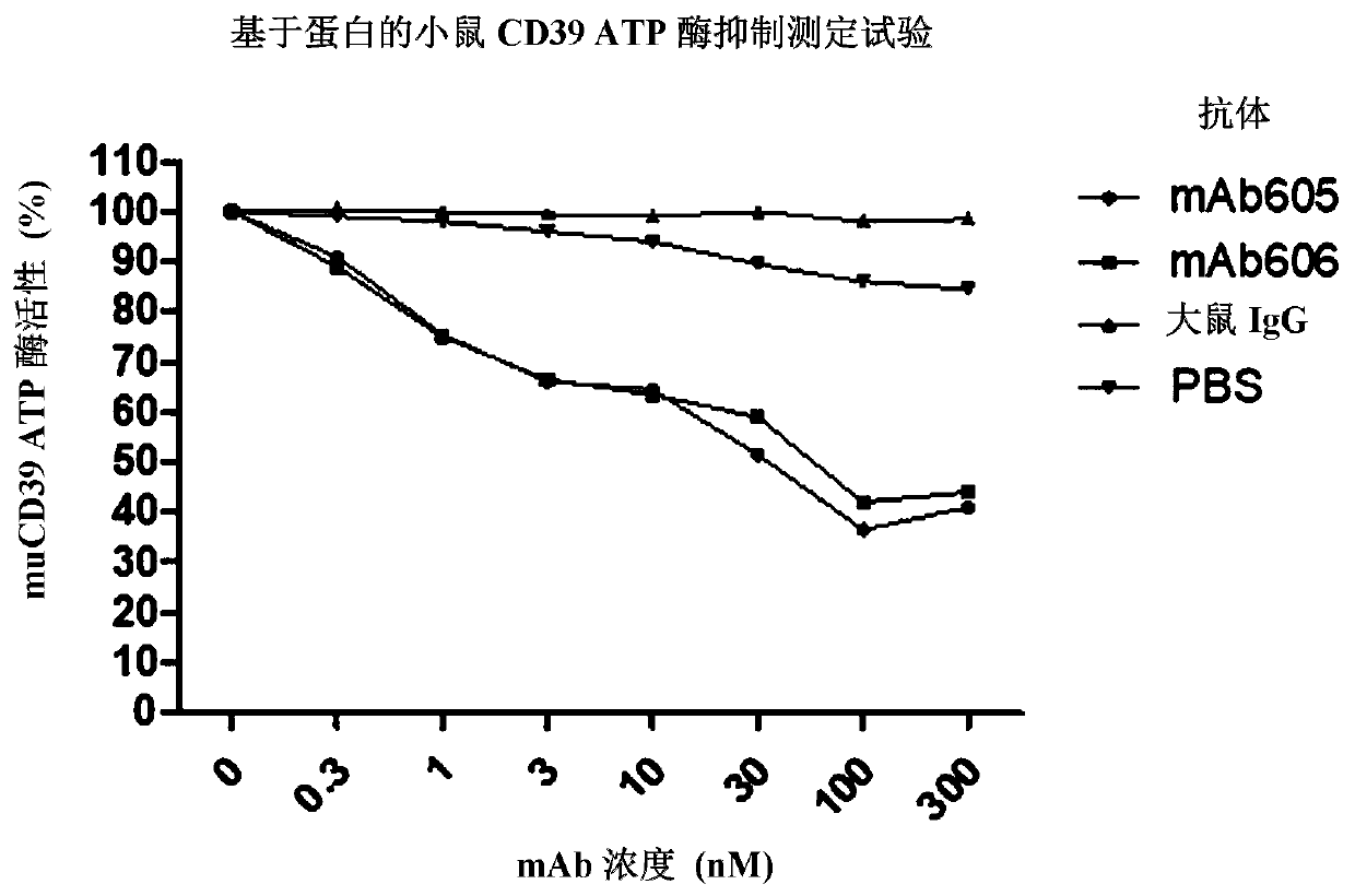 CD39 high-affinity antibody and use thereof