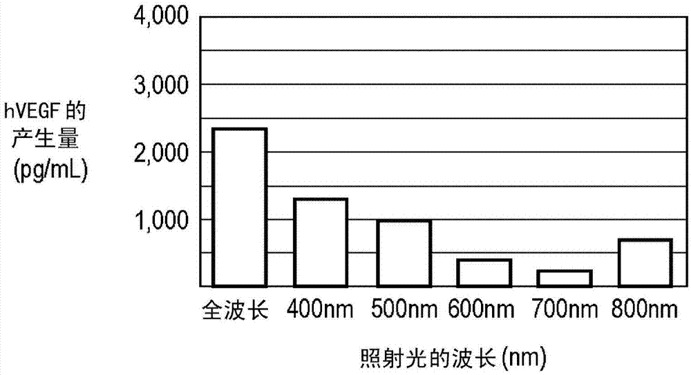 Photoradiation device and photoradiation therapy/prophylaxis device comprising same