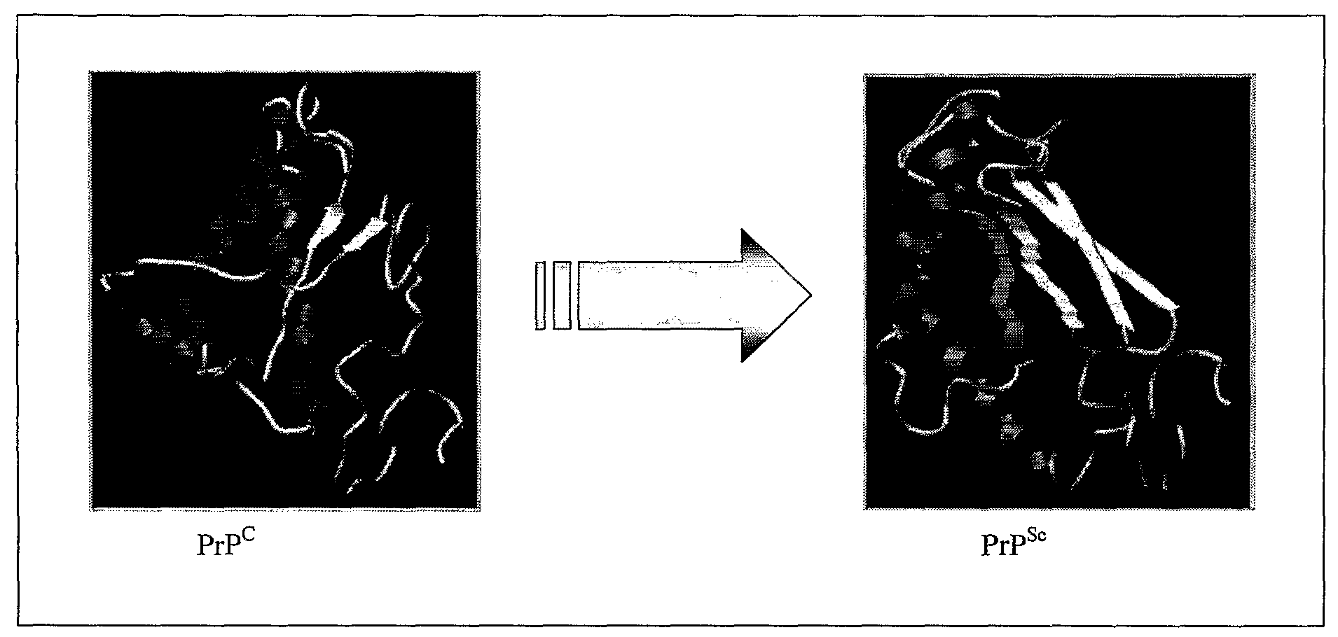 Anti-Lipid Rafts Antibodies