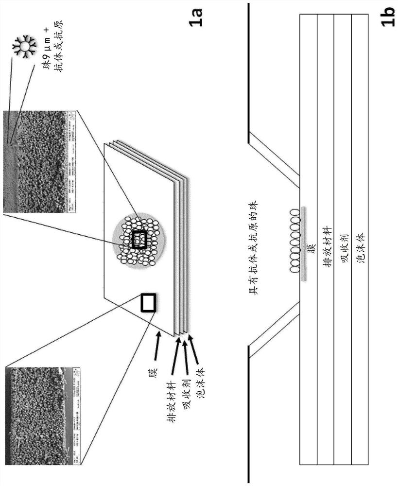 In-vitro diagnosis device comprising beads and uses thereof