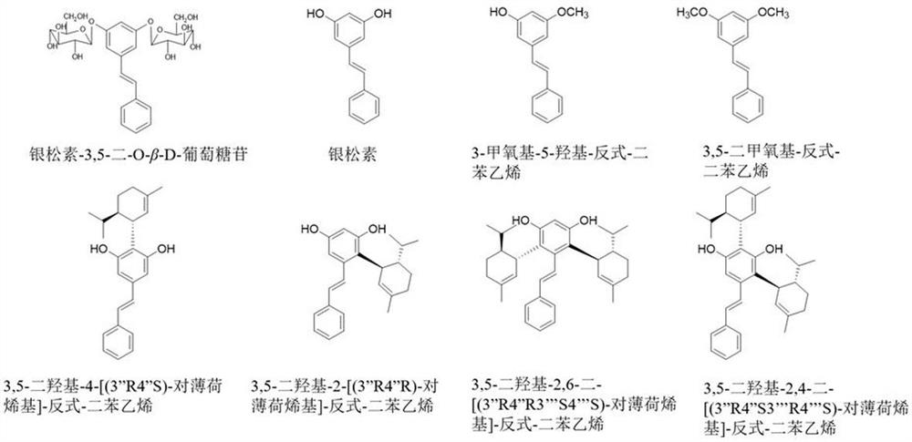 Lindera reflexa hemsl active ingredient composition with prevention and treatment effect on gastric ulcer as well as preparation method and application thereof