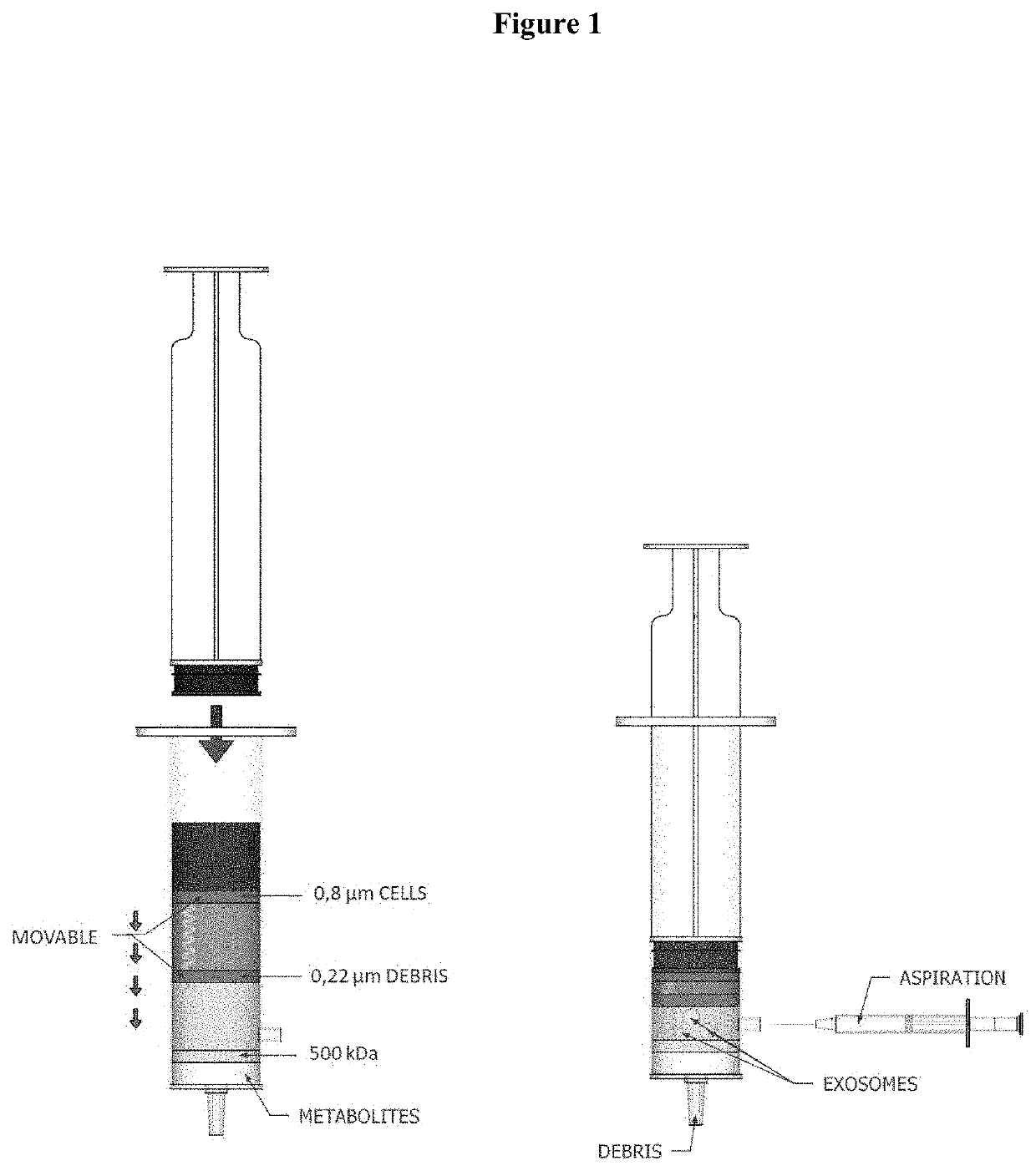 Methods and compositions for exosome-based diagnostics and diagnosis of disease