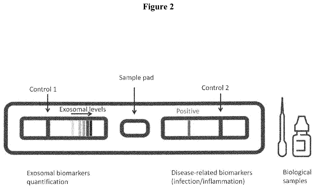 Methods and compositions for exosome-based diagnostics and diagnosis of disease