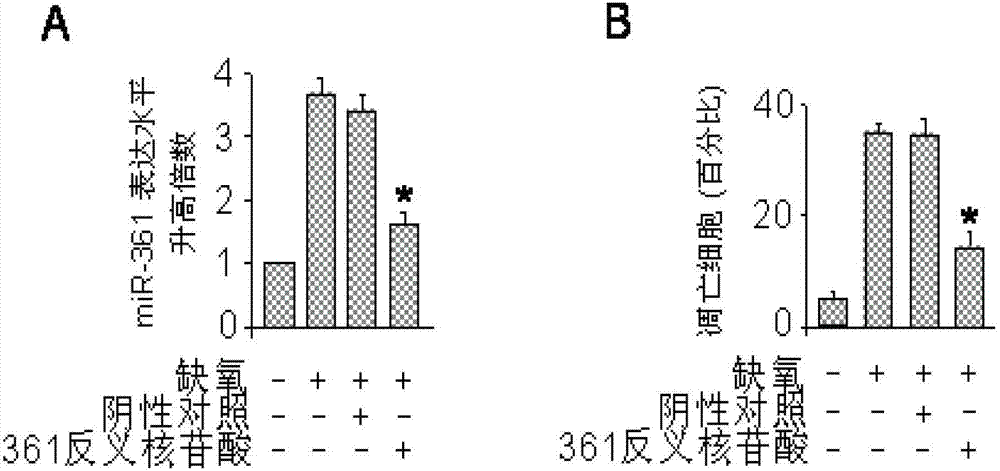 MiRNA-361 (micro-ribonucleic acid-361) and application of antisense nucleotide thereof