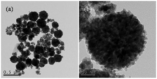 A kind of adsorbent for removing cobalt ion in sewage and preparation method thereof