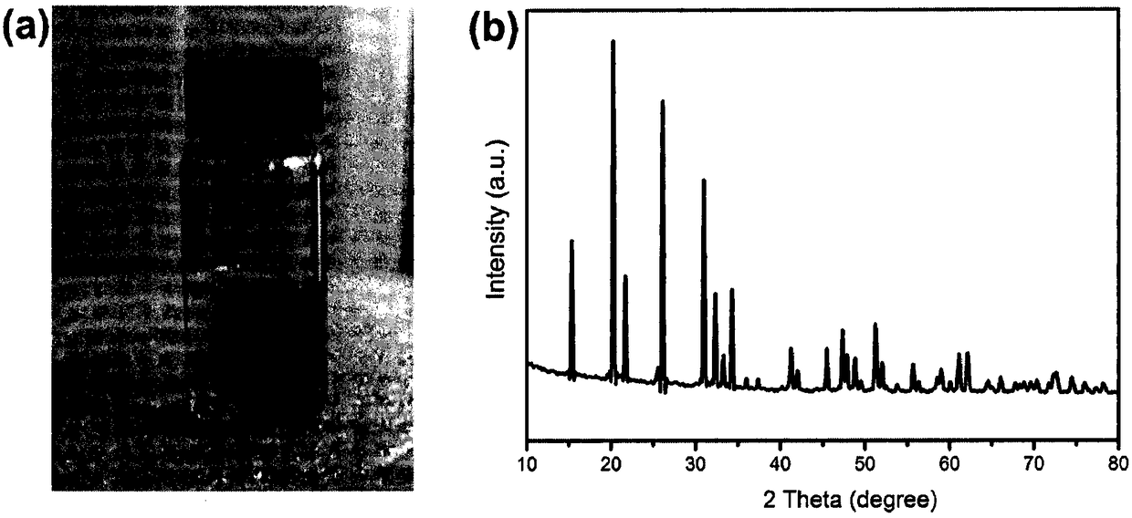 Preparation method of vanadium pentoxide film and application thereof