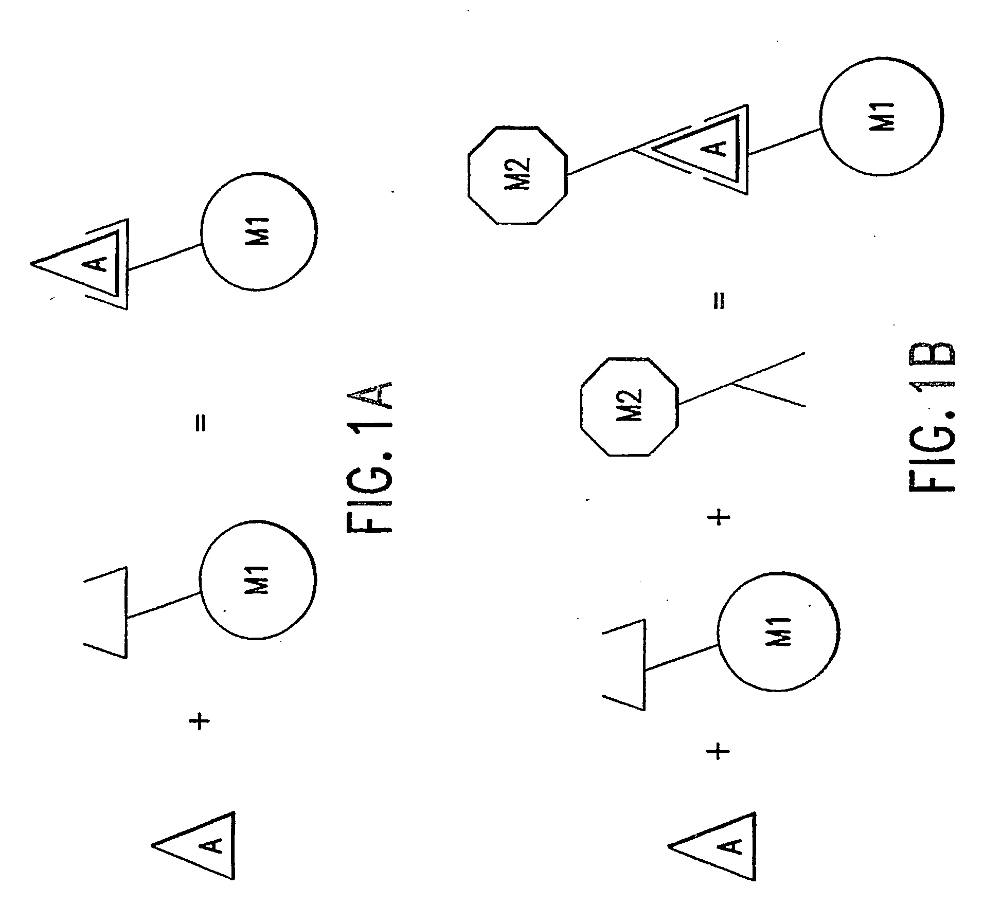 Method of using a non-antibody protein to detect and measure an analyte