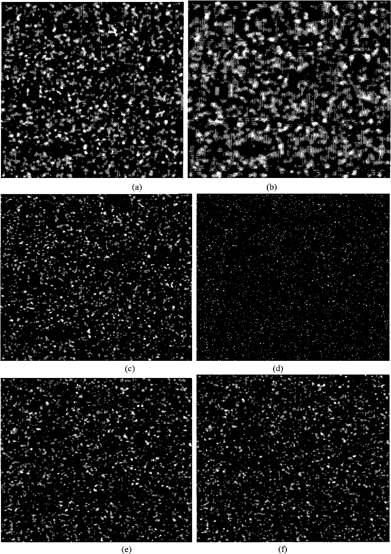 Method for making micro-nano-scale speckle