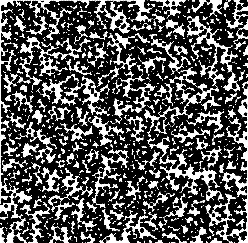 Method for making micro-nano-scale speckle