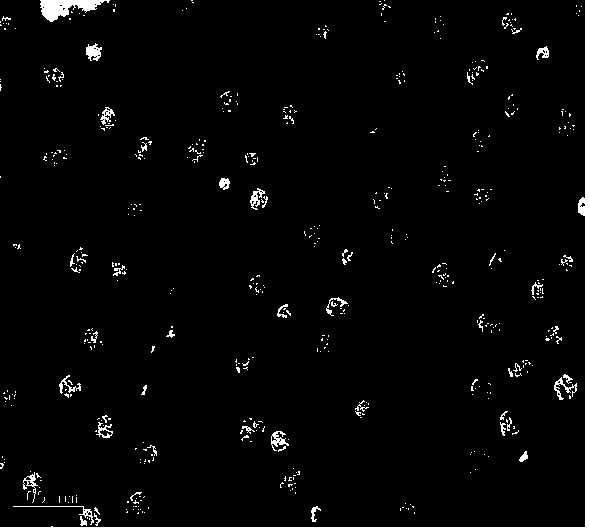 Paclitaxel-entrapped biodegradable nanocomposite and preparation method thereof