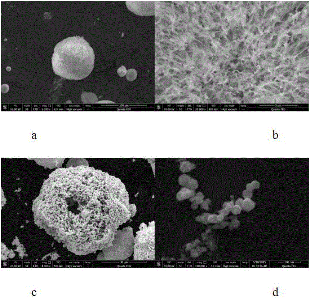 Freeze drying preparing method for dispersion strengthening tungsten powder