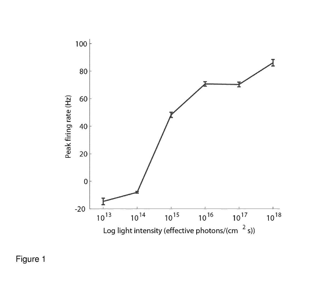 Novel therapeutical tools and methods for treating blindness by targeting photoreceptors