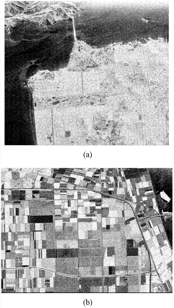 Freeman decomposition and homo-polarization rate-based polarized synthetic aperture radar (SAR) image classification method