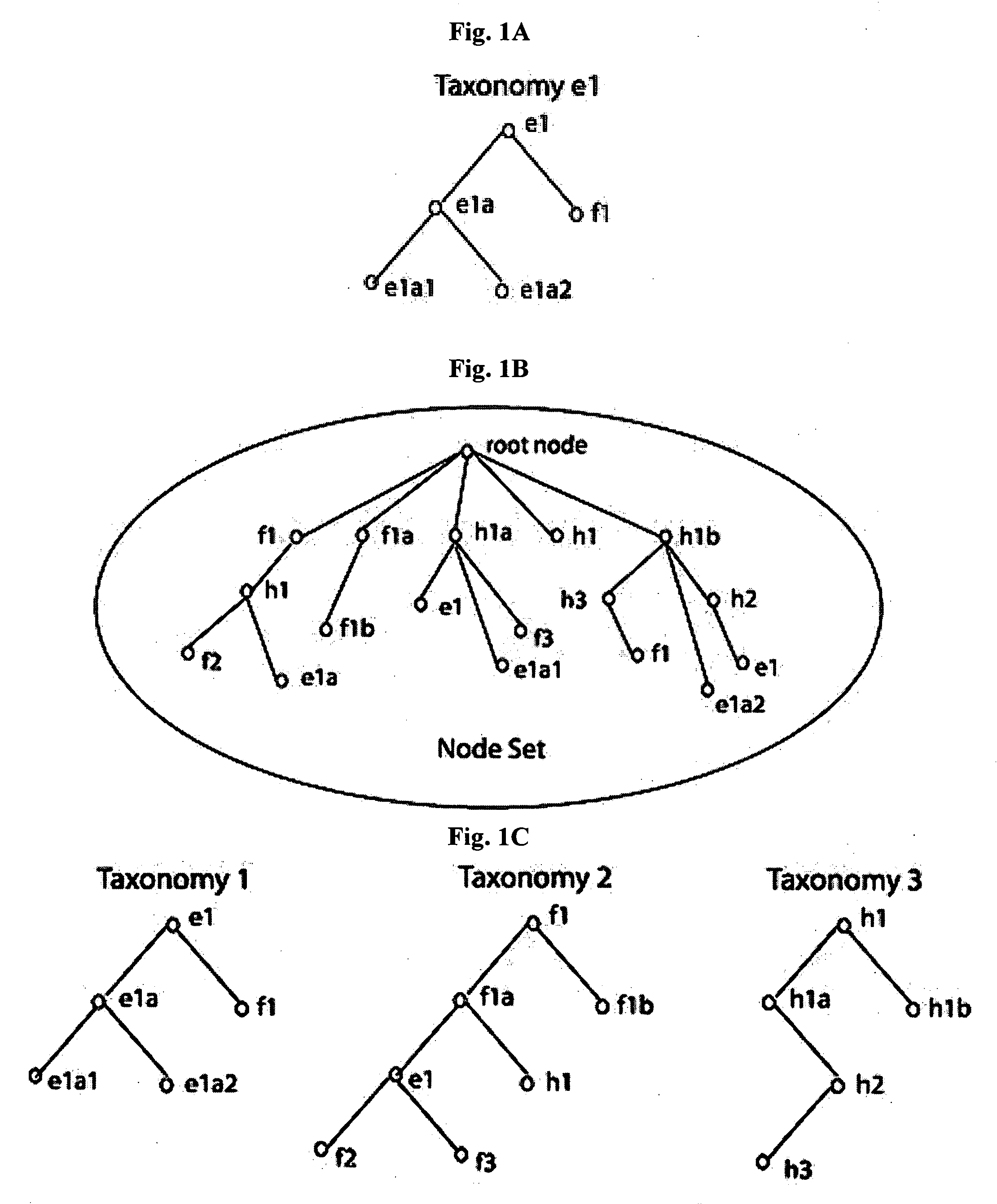 System for organizing a plurality of data sources into a plurality of taxonomies