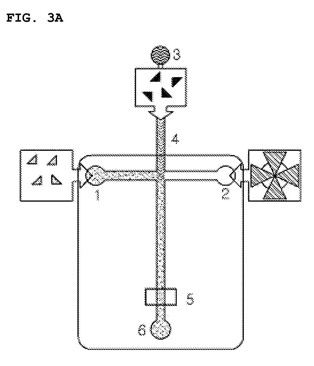 Method and apparatus for measuring fluorescence polarization in lab-on-a-chip