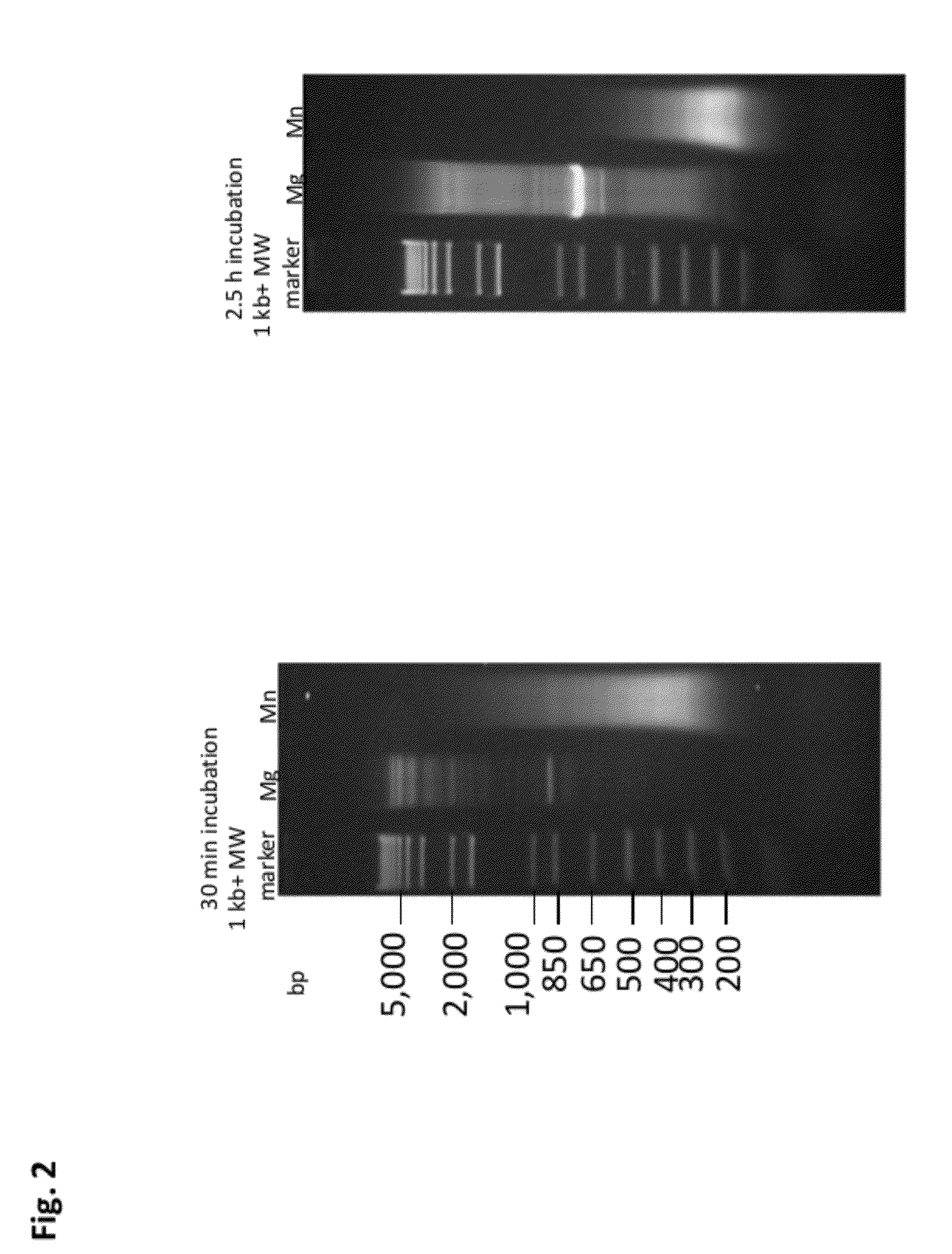 Methods and compositions for DNA fragmentation and tagging by transposases