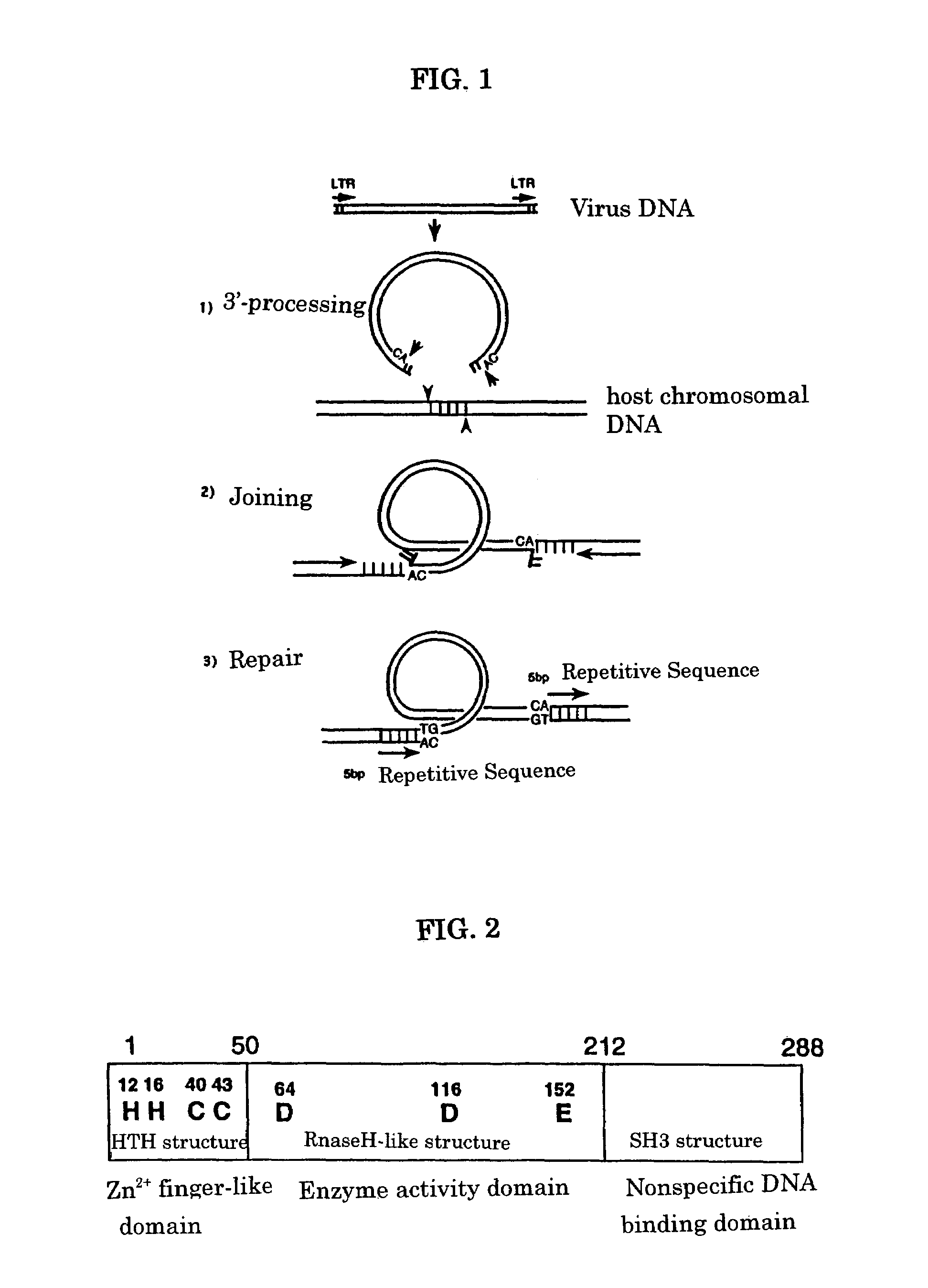 Viral infection inhibitor targeting integrase N-terminal domain