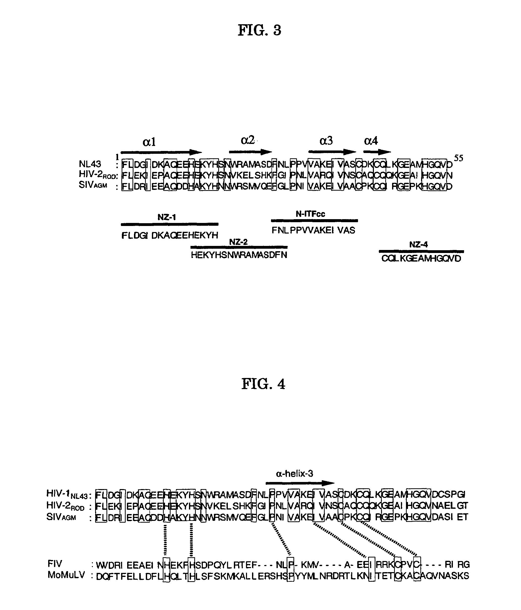 Viral infection inhibitor targeting integrase N-terminal domain