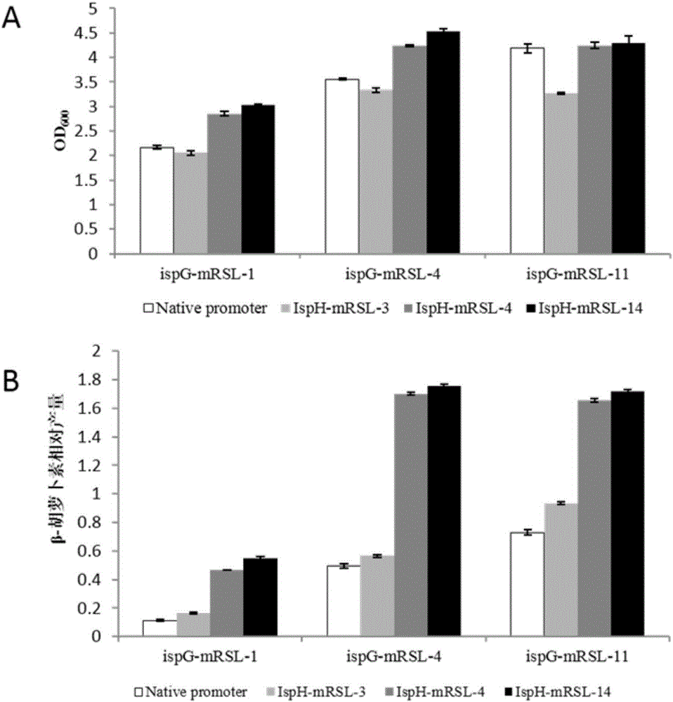 Building method for producing lycopene recombinant bacteria and application