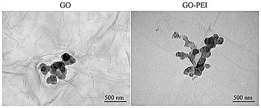 Preparation method and application of a degradable material capable of inducing osteogenic differentiation and bone regeneration