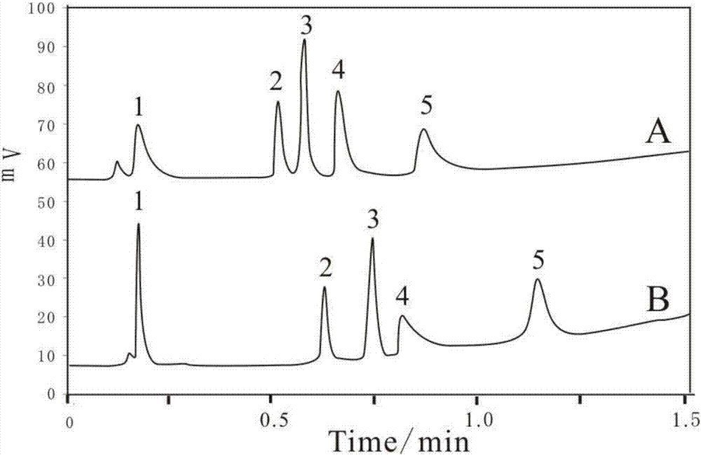 Mono-dispersed core-shell type polymer chromatography medium with porous surface and preparation method of chromatography medium